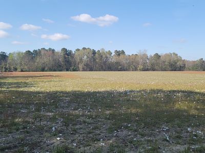 0 Shady Grove Rd #B, Saint George, SC, 29477
