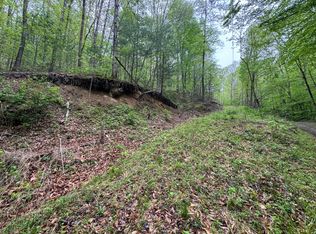 376 Summer House Hollow Rd, Del Rio, TN 37727