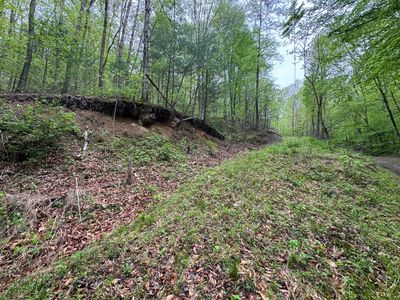 376 Summer House Hollow Rd, Del Rio, TN, 37727