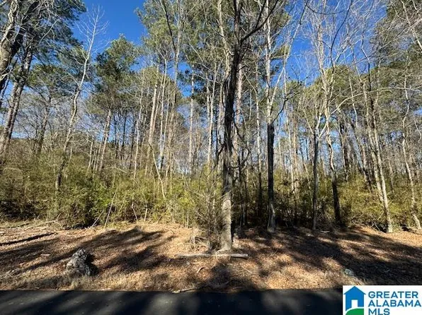 437 Hall Burton Rd #1, Sumiton, AL 35148
