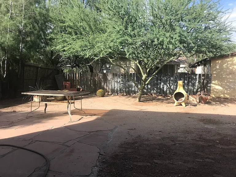 Backyard Southeast corner