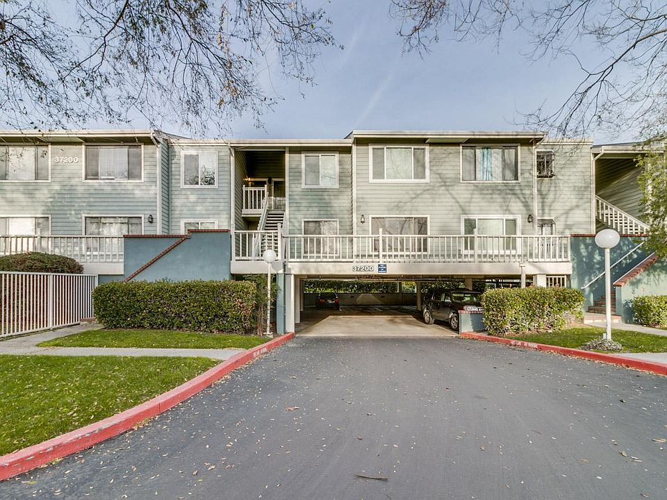 1st image of 37200 Meadowbrook Cmn APT 203