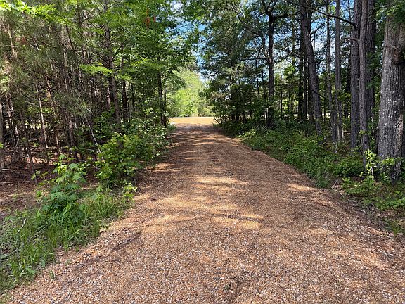 3rd image of S Perkins Rd