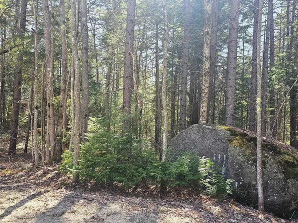 M10 L41 Taylor Circle, Washington, NH 03280