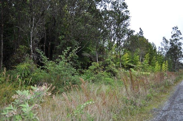 2nd image of Kaleponi Rd Lot 38