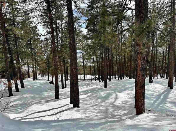 320 Elk Drive, Bayfield, CO 81122