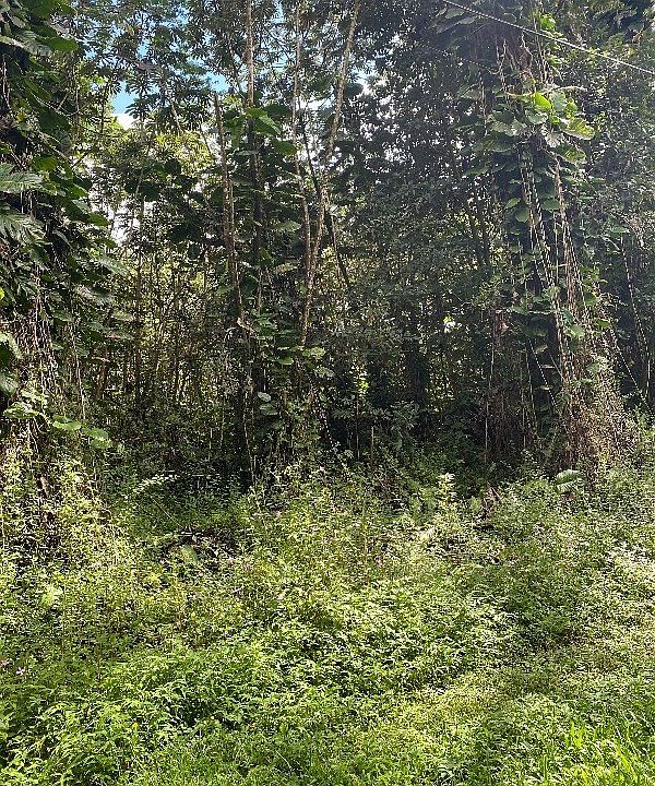 2nd image of Plumeria Rd Lot 872