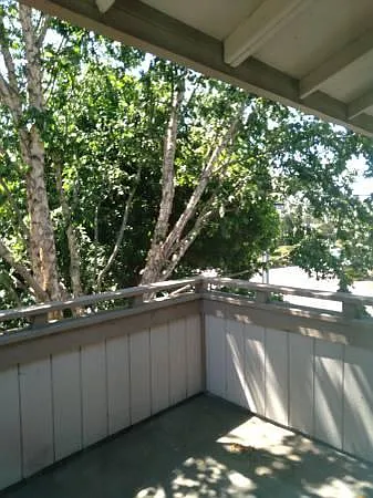 25228 Copa Del Oro Dr — Photo 12