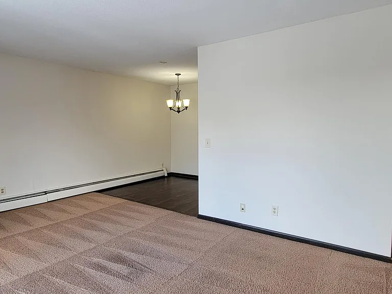 Apt 207