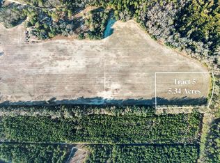 TRACT 5 Flinn Rd, Manning, SC 29102