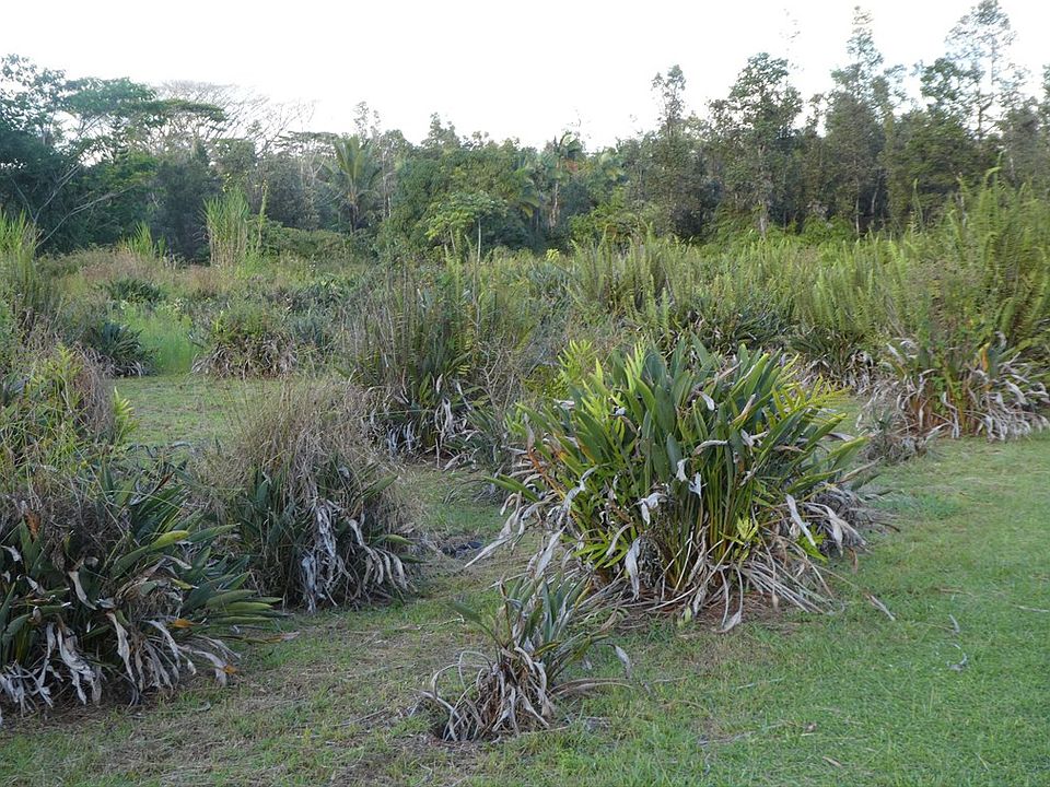 1st image of Pomaikai St Lot 16
