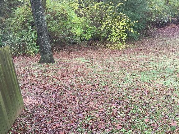 2nd image of 425A Ezell Pike