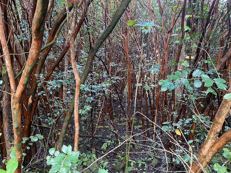 1st image of Lanai St Lot 703