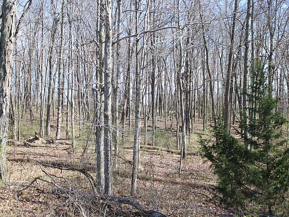 5th image of 1480 Poindexter Rd