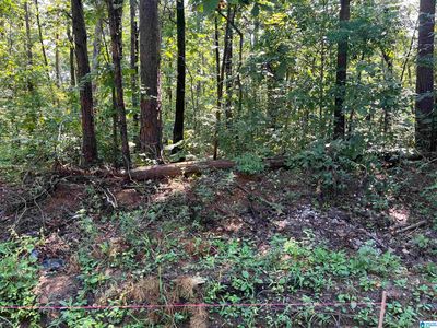 Oma Drive Oma Dr #1-2-24, Mc Calla, AL, 35111