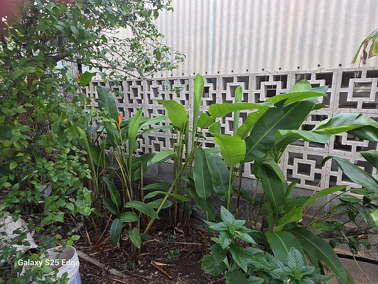 2120 Clement St — Photo 25