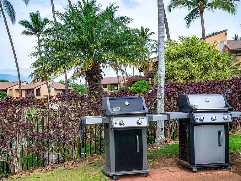 Wailea Alanui Dr — Photo 35