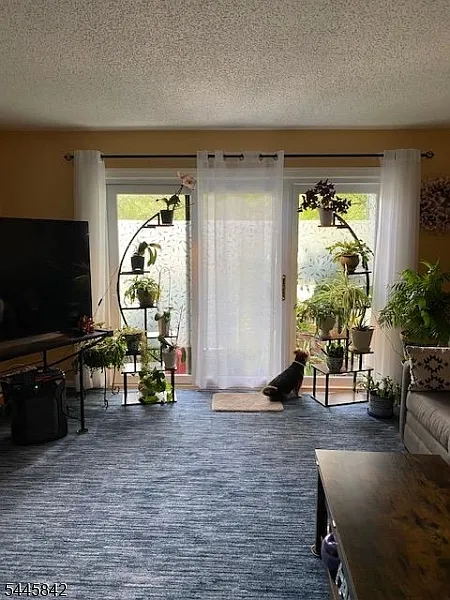 2 bed, 2.0 bath, $2,600 — Photo 4