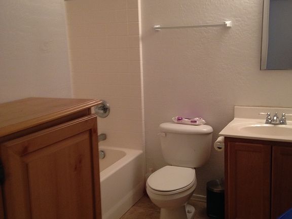 Main Bathroom 