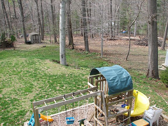 wooded backyard