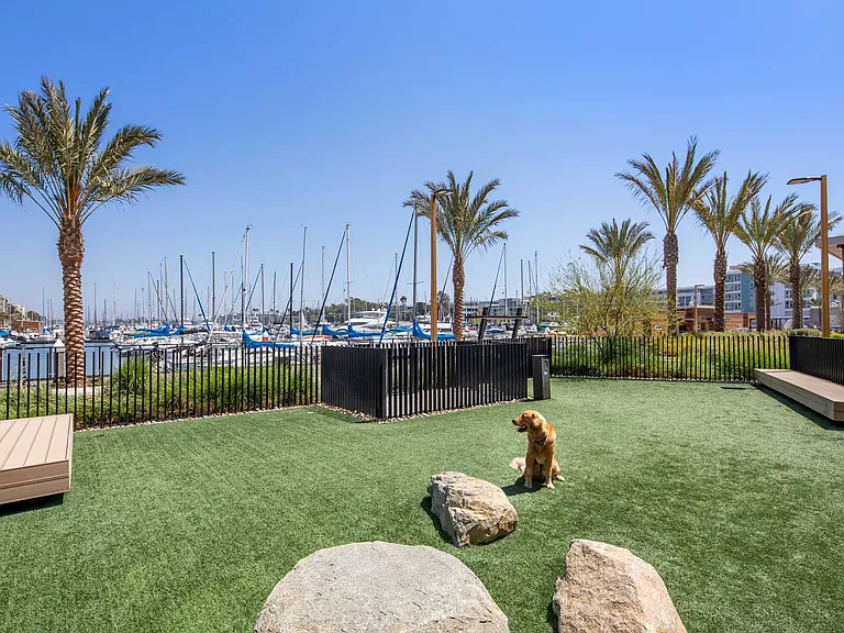 Pet Park