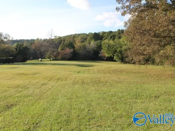 1.95 County Road 622, Valley Head, AL 35989