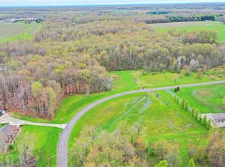 Waynewood Dr, Fowler, OH