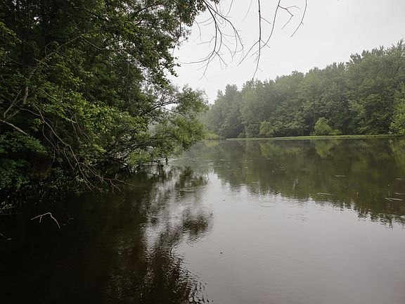 56042 driftwood drive-104