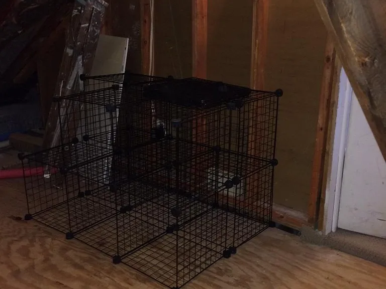 Attic features plentiful storage space off loft