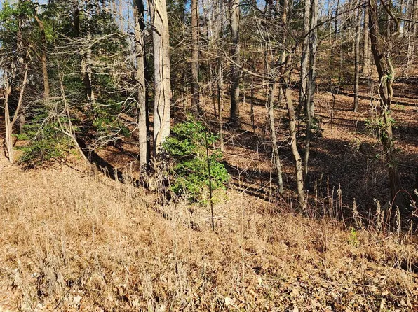 72 Plantation Dr, Montross, VA 22520