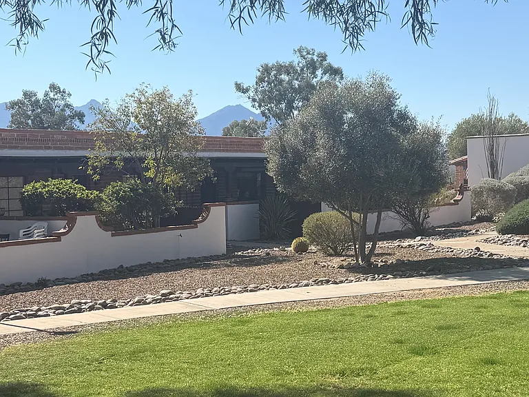 361 S Paseo Pena #C — Photo 12