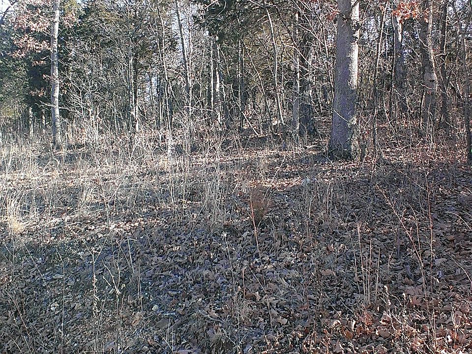 2nd image of Maple Dr