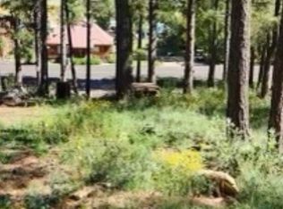 291 Lake View Dr, Mormon Lake, AZ 86038