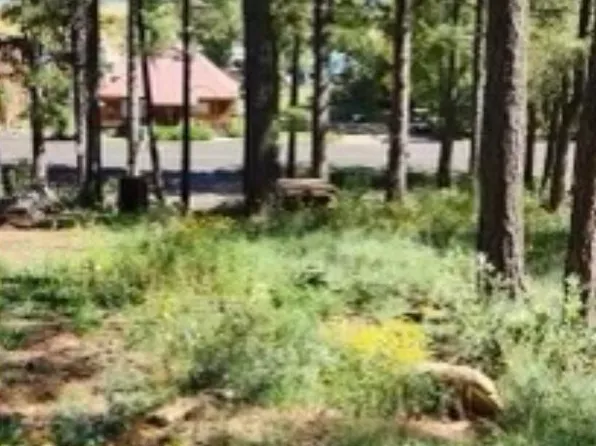 291 Lake View Dr, Mormon Lake, AZ 86038