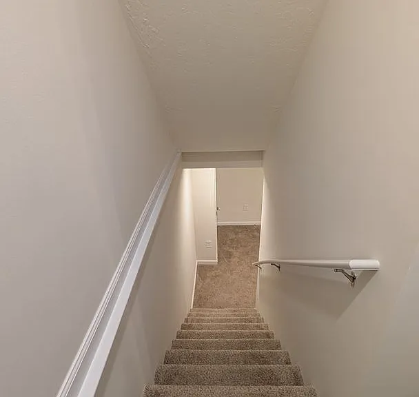 109 Holstein Dr — Photo 7
