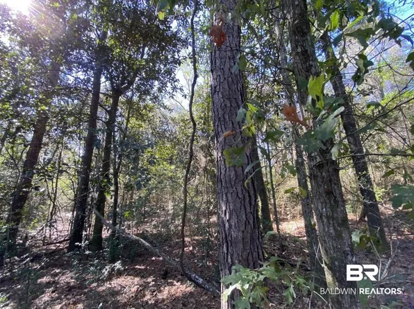0 Moffett Rd, Semmes, AL 36575