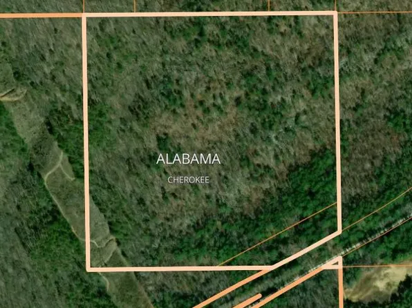 Bristow Gap Rd, Leesburg, AL 35983