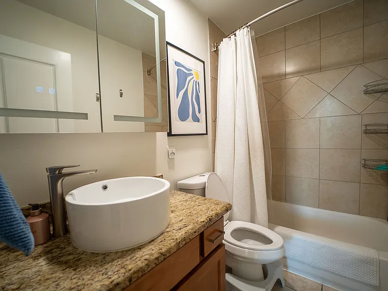 guest and second bathroom
