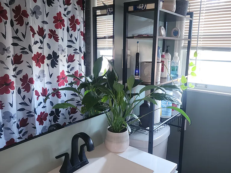 Bathroom 1