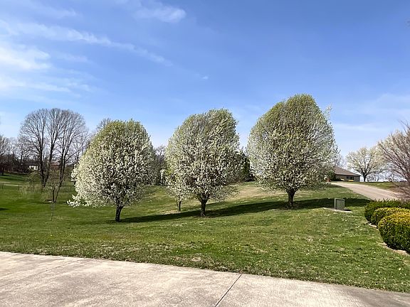 3rd image of 415 Splendor View Dr