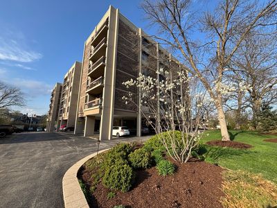 1110 Grove St APT 6K, Downers Grove, IL, 60515