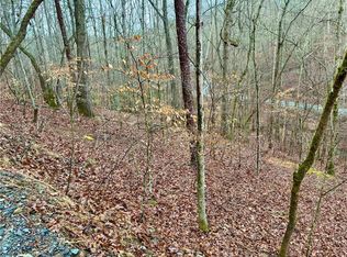 222 Nemos Dr, Ellijay, GA 30540