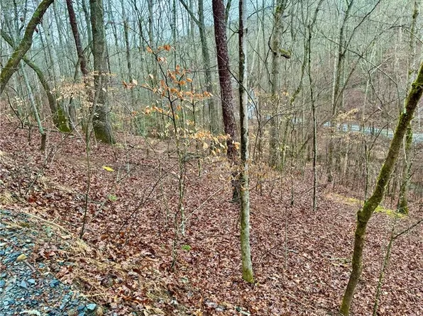 222 Nemos Dr, Ellijay, GA 30540
