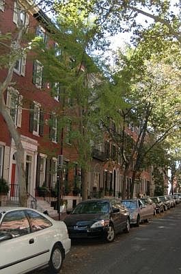 beautiful historical tree lined street in Rittnehouse Square