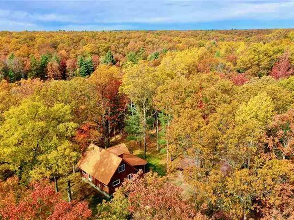 7264 W Lormax Rd, Irons, MI 49644