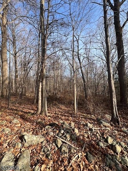 2nd image of 3-A Old Bilby Rd