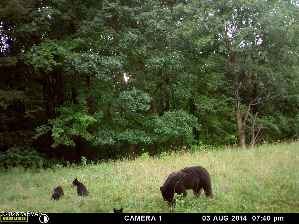 1st image of Iron Gate Rd