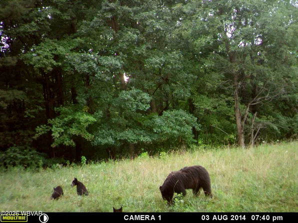 05-02009 Beech Mdws, Beech Creek, PA 16822