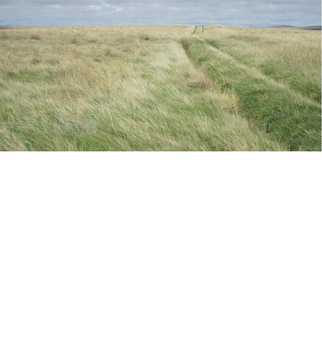 X Dent Bridge Rd, Great Falls, MT 59404 Zillow