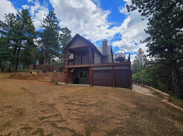 310 Spring Creek Dr, Divide, CO 80814